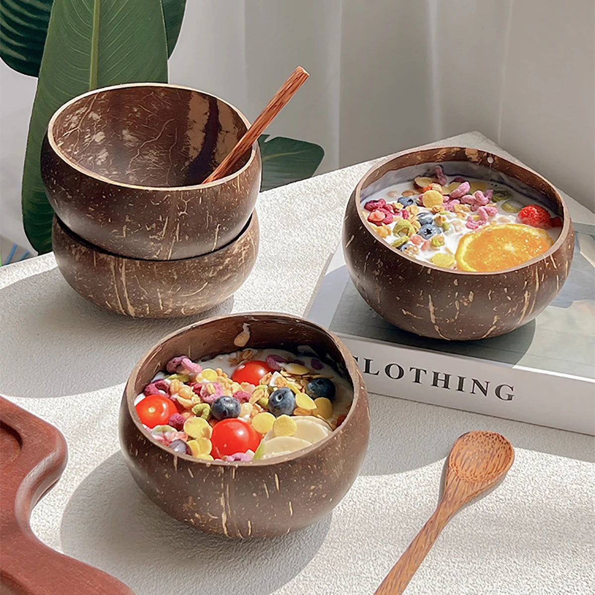 Natural Coconut Shell Bowl and Spoon Set